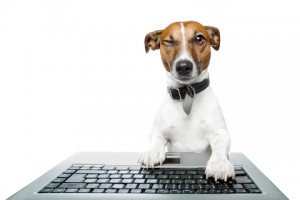 Website Dog