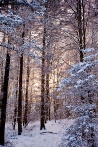 First Day of Winter