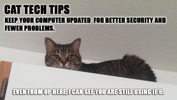 Cat Tech Tips - Computer Updates