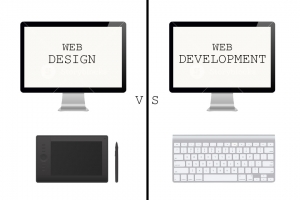 Web Designer Vs. Web Developer
