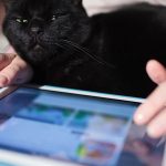 Ten Tips on How to be Successful While Working From Home During Coronavirus Outbreak