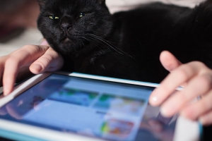 Ten Tips on How to be Successful While Working From Home During Coronavirus Outbreak